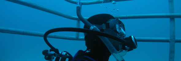 scuba dykning hætte i neopren
